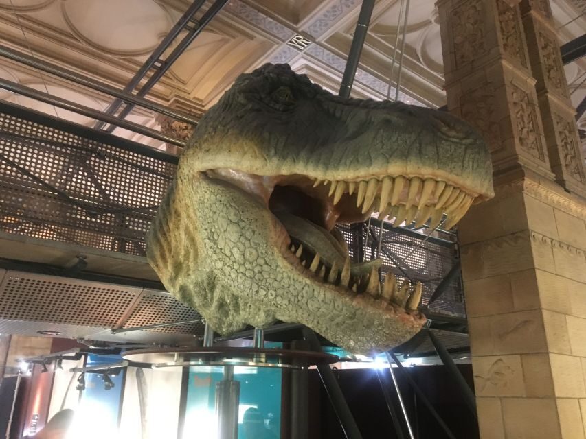 London: Natural History Museum Entry Ticket and Guided Tour - How much can you actually see in 1 hour?