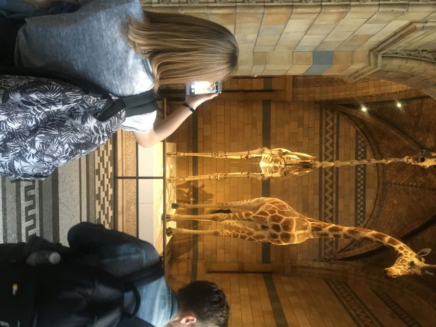 London: Natural History Museum Entry Ticket and Guided Tour - Getting in fast: South Kensington meeting point and express security