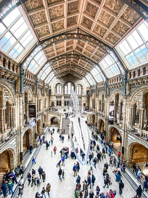 London: Natural History Museum Guided Tour - Key highlights worth aiming for