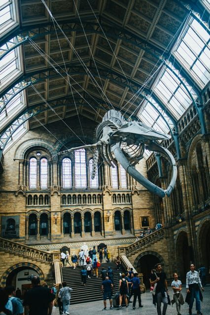 London: Natural History Museum Guided Tour - Fossils that feel personal: Iguanodon teeth and dinosaur evidence
