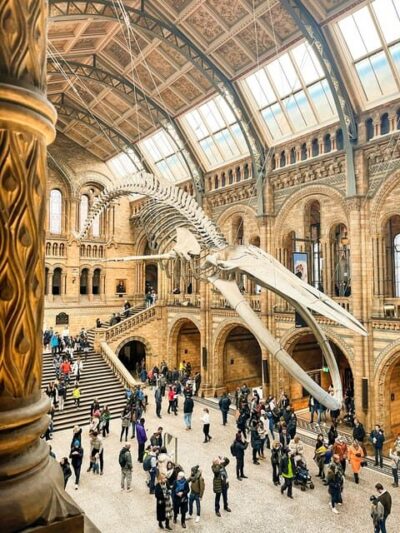 London: Natural History Museum Guided Tour - Entering the museum’s fossil labyrinth with a plan
