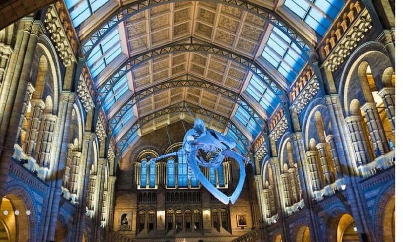 London: Natural History Museum Guided Tour w/ Priority Entry - Getting In Fast at the Natural History Museum in South Kensington