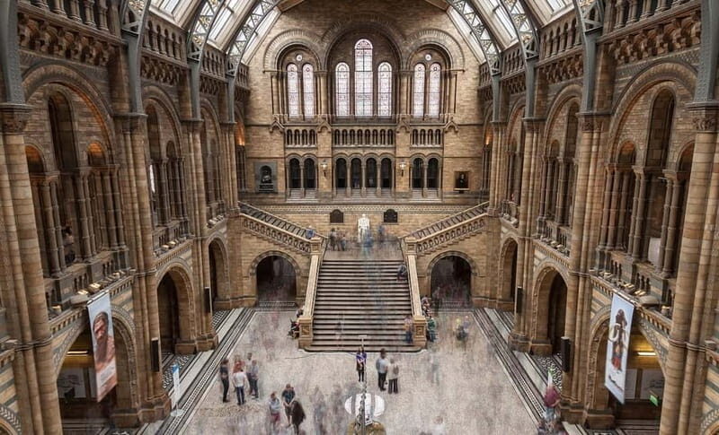 London: Natural History Museum Guided Tour w/ Priority Entry - Hintze Hall: The Blue Whale Skeleton Moment