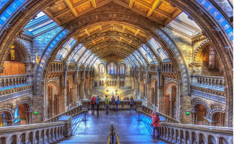 London: Natural History Museum Guided Tour w/ Priority Entry - A Realistic 90-Minute Plan: What You Will (and Won’t) Get