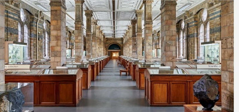 London: Natural History Museum Guided Tour w/ Priority Entry - Practical Tips That Make the Tour Smoother