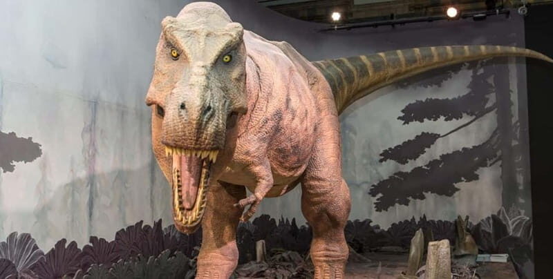 London: Natural History Museum Guided Tour w/ Priority Entry - Dinosaurs and Early Humans: T. rex Energy Without the Wandering