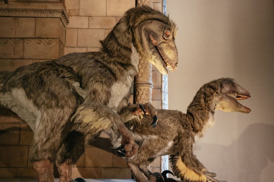 London: Natural History Museum Private Guided Family Tour - Meeting Outside on Cromwell Road: Start Clean, Start On Time