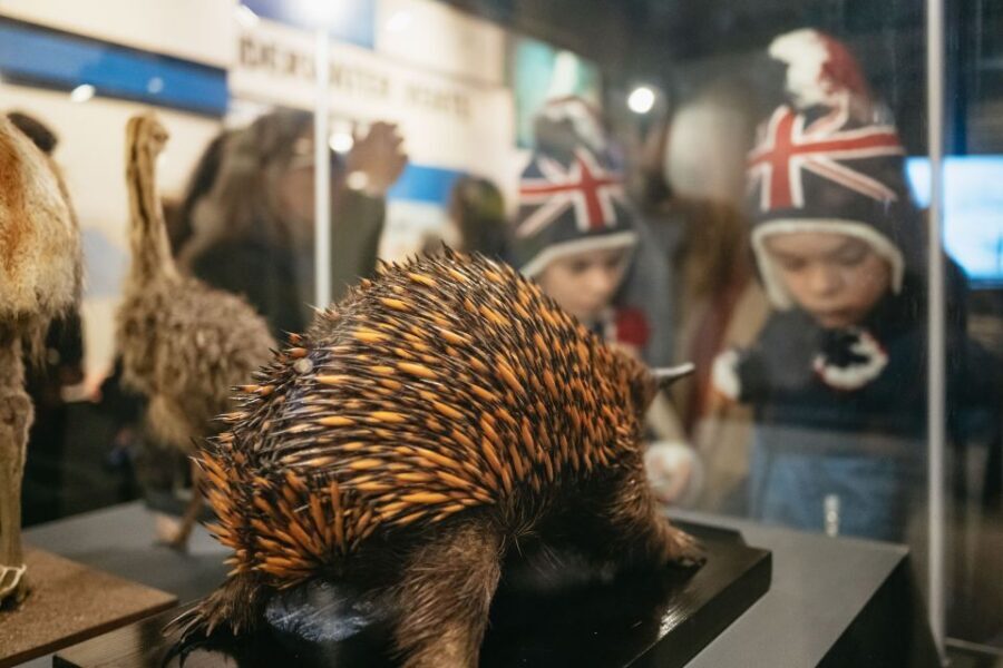 London: Natural History Museum Private Guided Family Tour - Time, Breaks, and a 2-Hour Reality Check