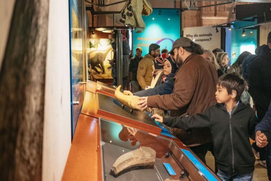 London: Natural History Museum Private Guided Family Tour - What You’re Really Paying For: The Guide + a Family-Friendly Pace