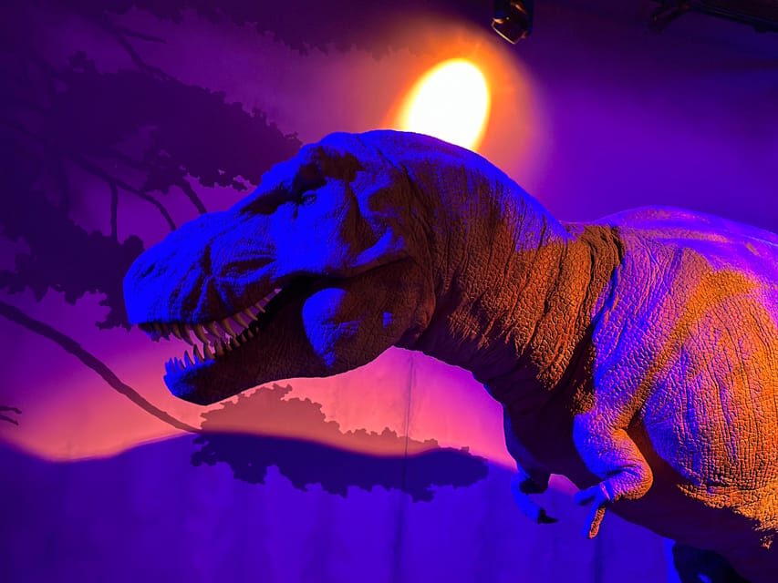 London: Natural History Museum Private Guided Tour - Key things you’ll notice fast