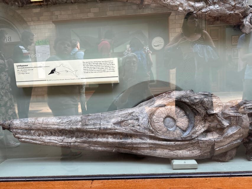 London: Natural History Museum Private Guided Tour - Price and value for a private group up to 6