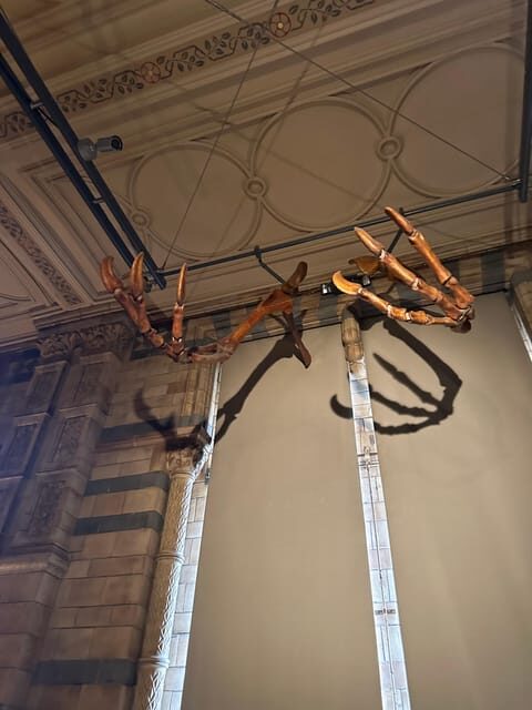 London: Natural History Museum Private Guided Tour - Dino time with T-Rex and Triceratops without getting lost
