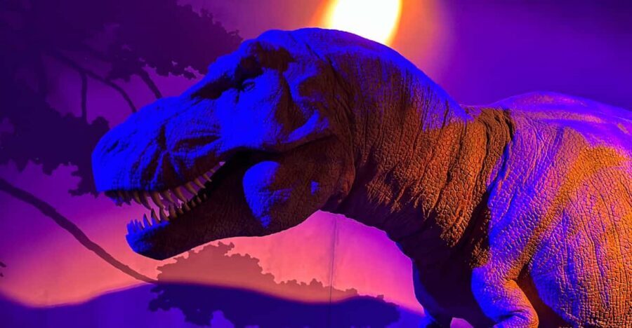 London: Natural History Museum Private Guided Tour - English or French guide, and why that affects the whole visit