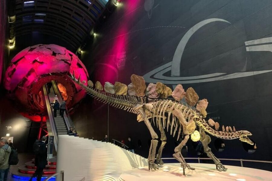 London: Natural History Museum Private Tour & Skip the line - Key Highlights Worth Booking For