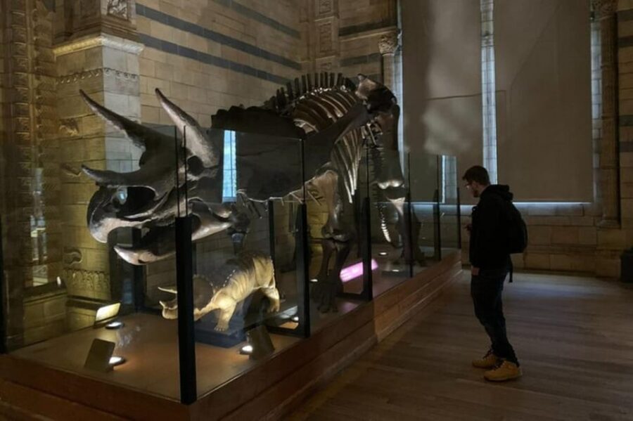 London: Natural History Museum Private Tour & Skip the line - Dinosaurs and Fossils: Main Attractions in a Tight, Smart Route
