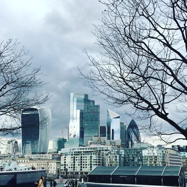 London: Private Intro Walk with a Local Guide - Getting your London bearings, starting at Canada Gate