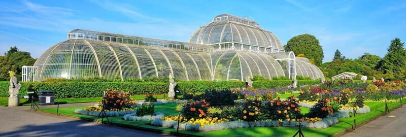 London: Richmond to Westminster River Thames Cruise - The route experience: islands and stately homes along the winding Thames