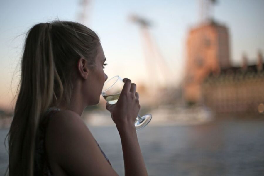 London: River Thames Evening Cruise with Bubbly and Canapés - Live singer and the chill-out vibe: how the entertainment fits the river