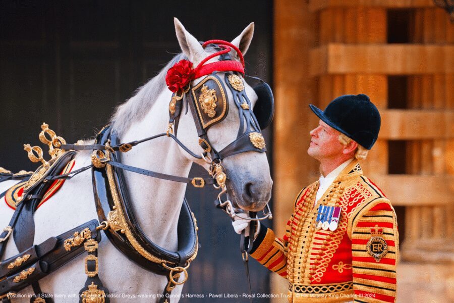 London: Royal Walking Tour with Guard Change & Royal Mews - The Mall to Wellington Barracks: watching duty up close