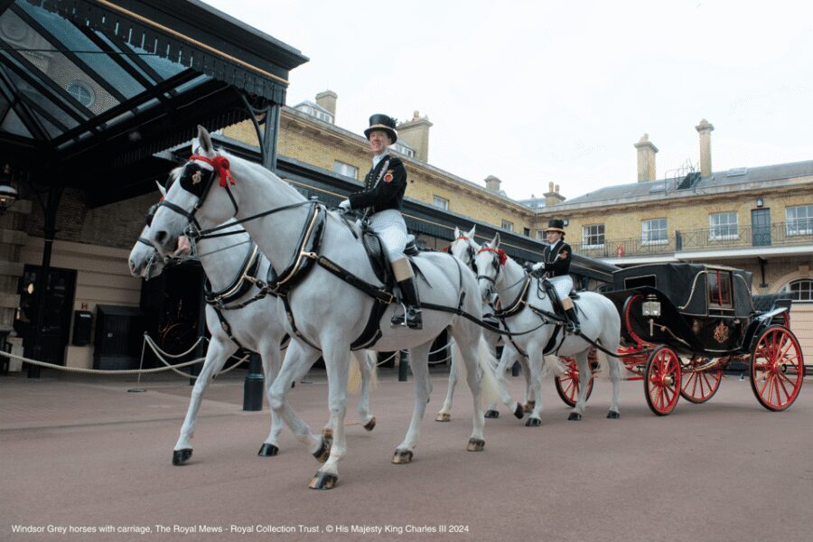 London: Royal Walking Tour with Guard Change & Royal Mews - Royal Mews: getting close to the Gold State Coach and working stables