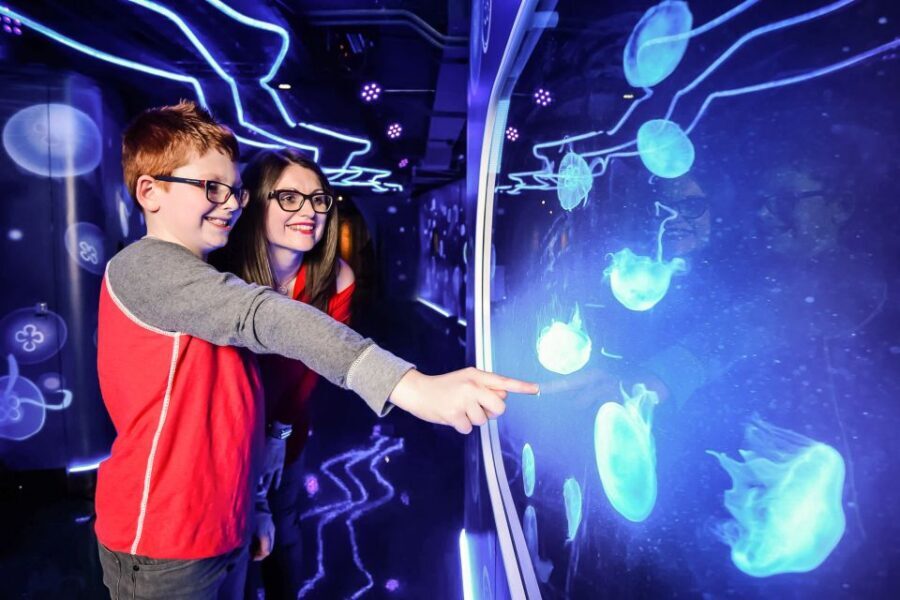London: SEA LIFE Entry Ticket - Should You Book SEA LIFE London Entry Tickets?