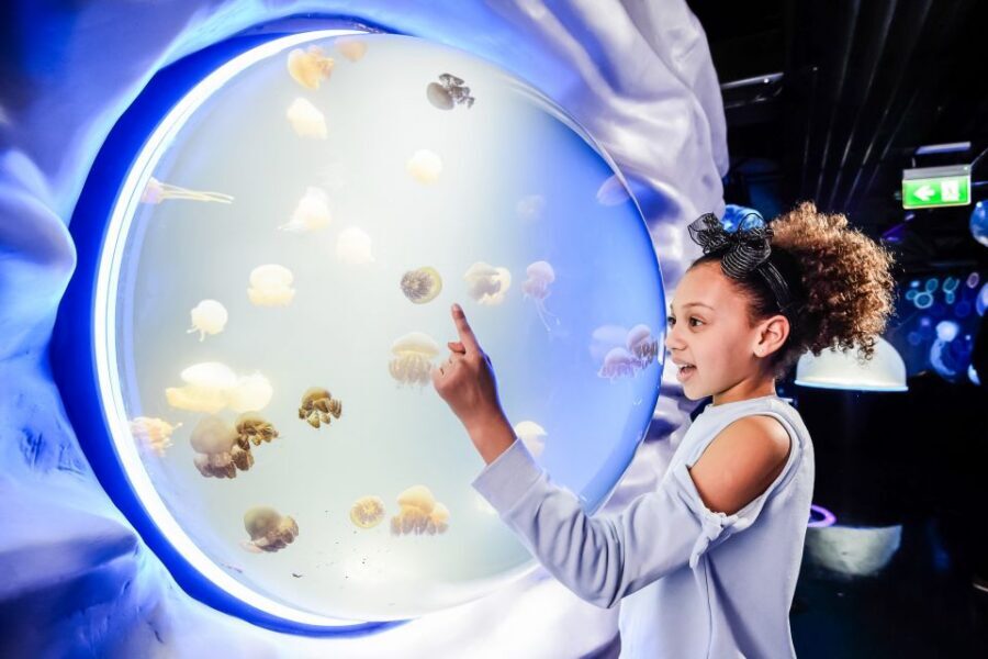 London: SEA LIFE Entry Ticket - The Underwater Walk-Through That Feels Like a Whole World