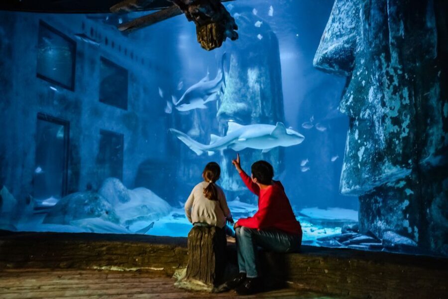 London: SEA LIFE Entry Ticket - The Rainforest and Amazon Storyline: Interactive, Not Just Spectator