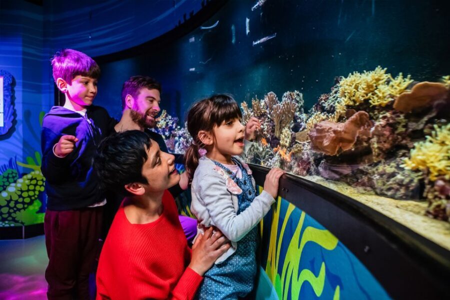 London: SEA LIFE Entry Ticket - Small Rules That Can Affect Your Experience