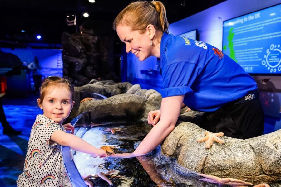 London: SEA LIFE Entry Ticket - Sharks Beneath Your Feet: The Most Memorable Stop