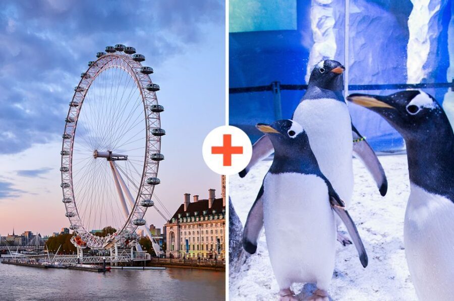 London: SEA LIFE & London Eye Combo Ticket - The London Eye: 360° Views from 135 Meters Up