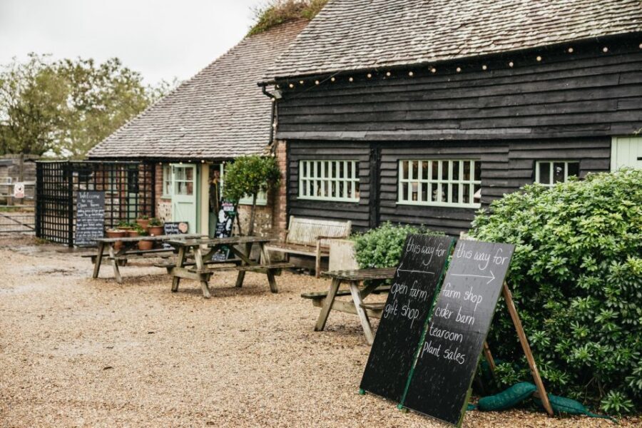London: South Downs White Cliffs Day Trip with Train Tickets - The Value Question: Is $120 Worth It?