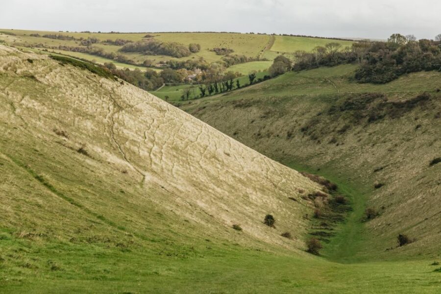London: South Downs White Cliffs Day Trip with Train Tickets - Getting From London To Brighton Without Stress