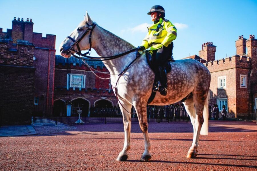 London: The London Top Sights Tour. Kids Free! - Guide Quality: What Works, What to Consider