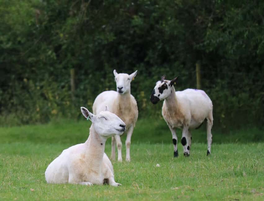 London: Top 7 Cotswolds Stops plus Shakespeare's Stratford - Snowshill: a quieter stop that feels like a slow exhale