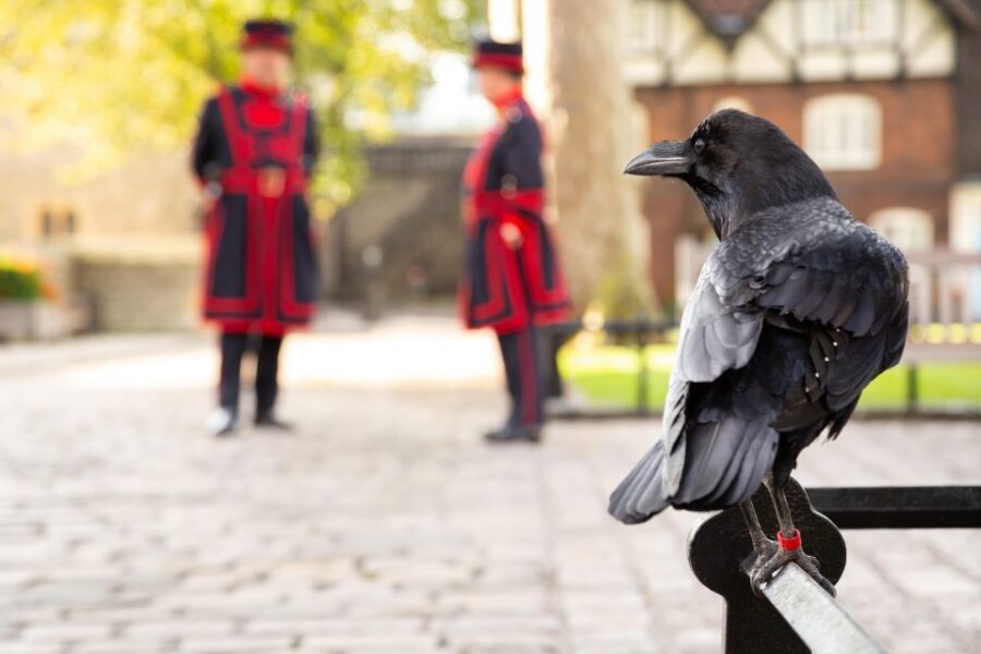London: Tower of London, Thames Boat & Changing of the Guard - End at Buckingham Palace Balcony Time for Photos