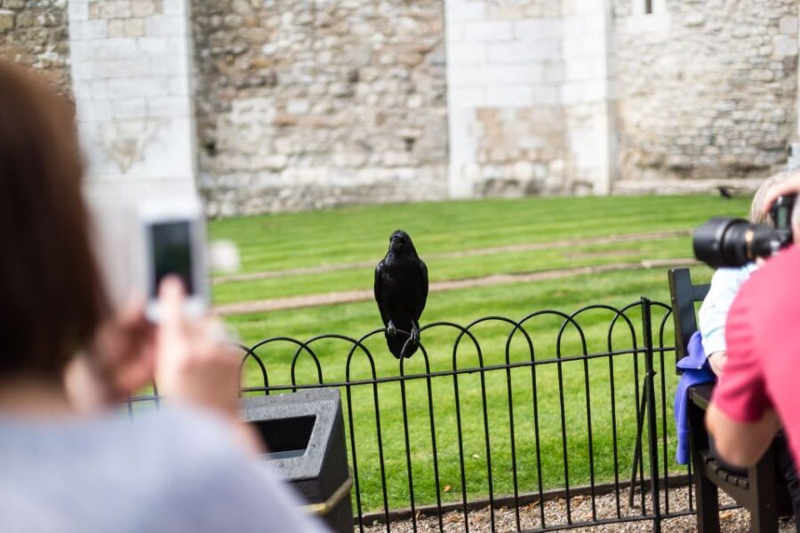 London: Tower of London Tour with Crown Jewels & Beefeaters - Skipping the Ticket Line and Getting Oriented Fast
