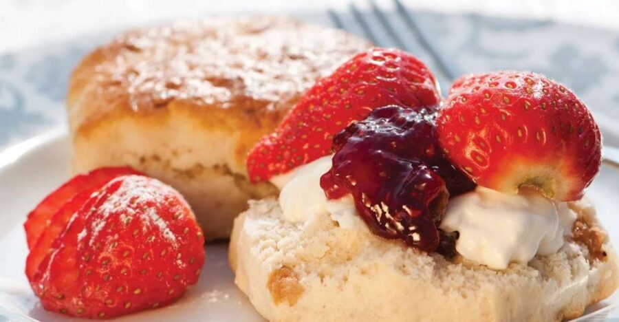 London Vintage Bus Tour and Cream Tea at Harrods - Price and Value: Is $134 Worth It?