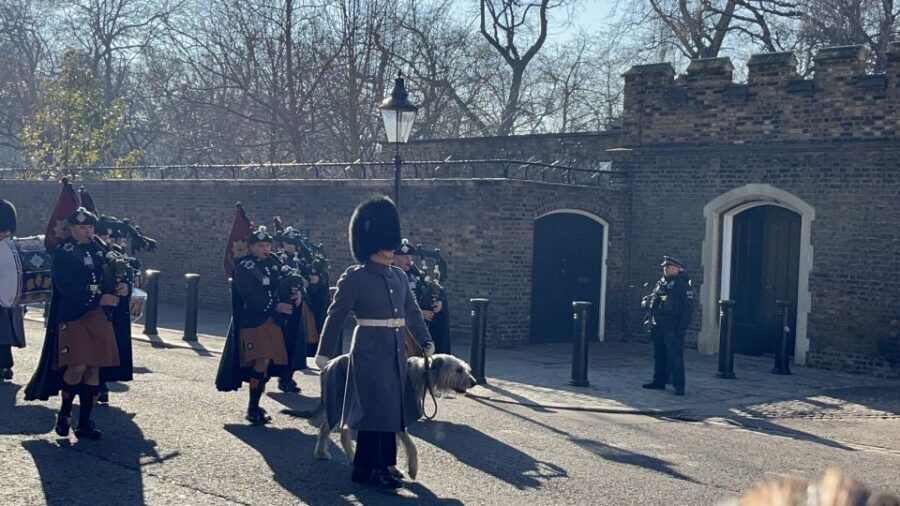 London’s Royal Family and Changing of the Guard Tour - Buckingham Palace without the confusion: a short, guided hit
