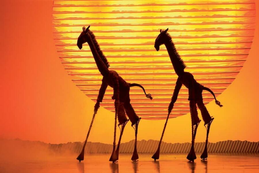 London's West End: Ticket to The Lion King - Before you go: e-ticket, arrival time, and the no-photo rules