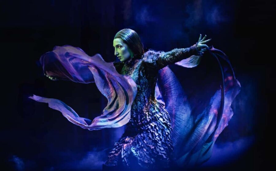 London's West End: Ticket to Wicked the Musical - Your Ticket Plan: E-ticket and On-Site Rules