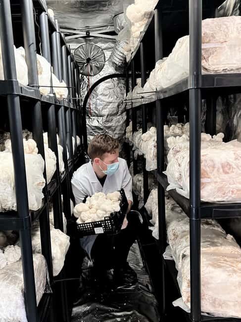 Makars Mushroom Farm Summerhall Tour with DIY Block Making - The Lion’s Mane Story: Grain, Incubation, and Fruiting