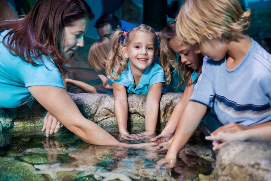 Manchester: SEA LIFE Entrance Ticket - Final verdict: should you book SEA LIFE Manchester?