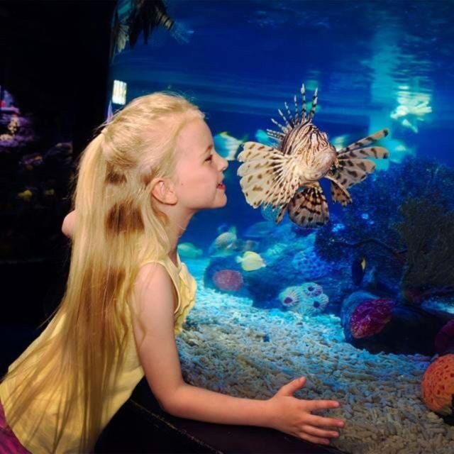 Manchester: Visit Manchester Pass with Entry Tickets & Tours - Manchester City stadium tour and the National Football Museum