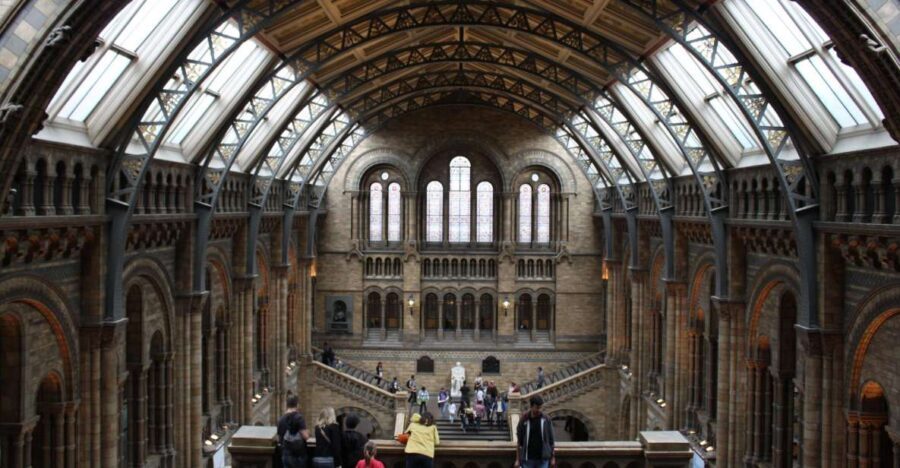 Natural History Museum e Kensington Garden - Key highlights worth planning for