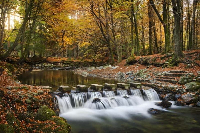 Newcastle: Game of Thrones - Tollymore Forest Trek - Key Highlights Worth Your Time