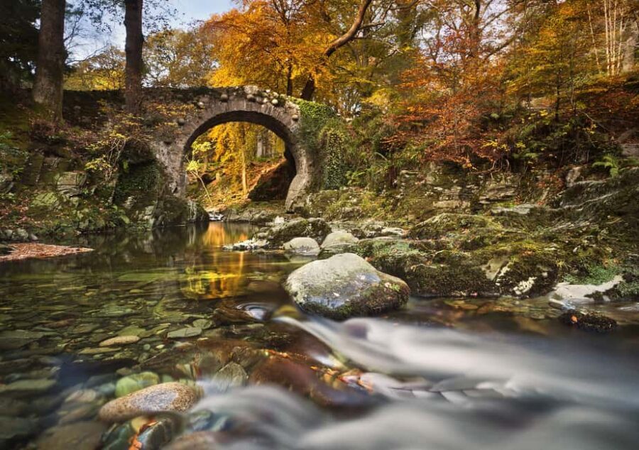 Newcastle: Game of Thrones - Tollymore Forest Trek - Stop 3: The Bridge, the Dead Direwolf, and the Pups