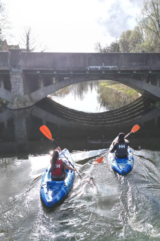 Norwich: Kayak down the Norfolk Broads - The Actual Paddle: Wildlife Watching on a Calmer Stretch