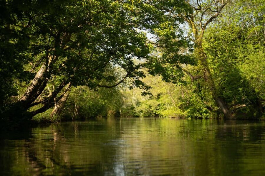 Oxford: Private Punting Tour on the River Cherwell - St Hilda’s College gardens: quieter architecture, more Oxford feel