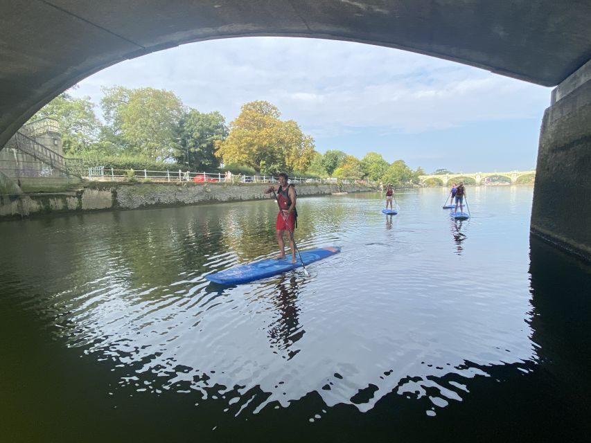 Paddleboard Experience on the beautiful Thames at Richmond - What The Thames Feels Like on a SUP: Quiet Water, Birdlife, and Control