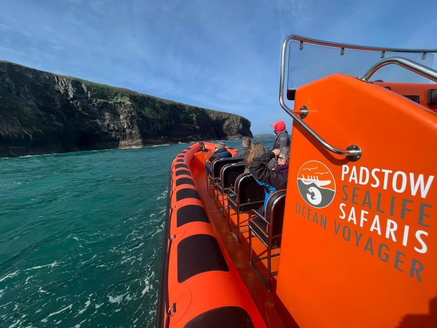 Padstow: Guided RIB Sealife Safari - What you’ll learn from the guide on the water